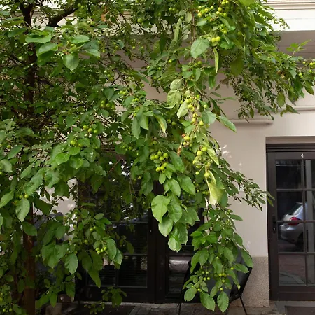 Bright I Etmonu St I Easy Check In I Cohost