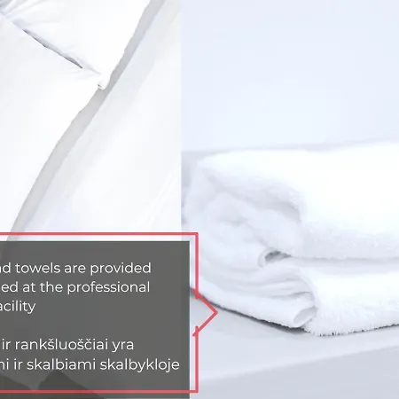 Central Apartments I Etmonu St I Easy Self Check-In I Cohost Vilnius