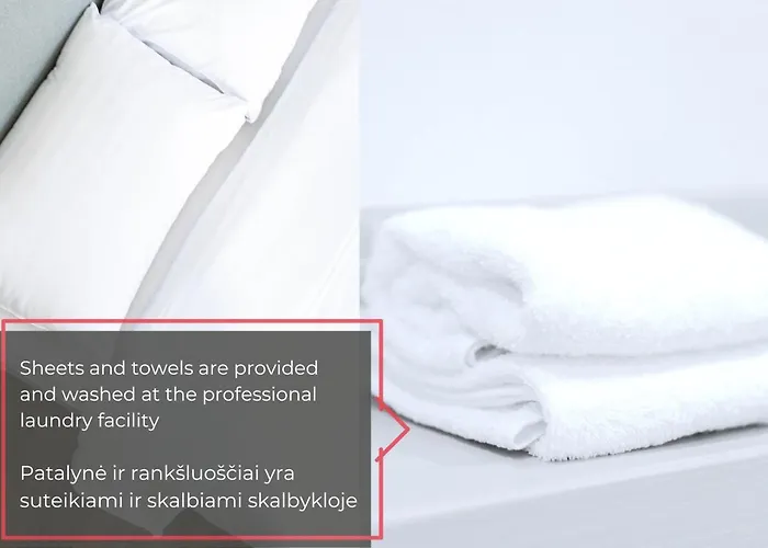 Bright I Etmonu St I Easy Check In I Cohost Vilnius