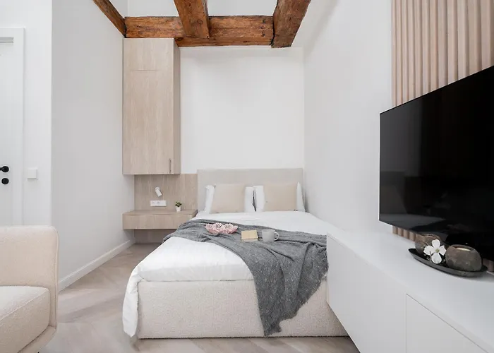 Apartman Bright I Etmonu St I Easy Check In I Cohost Vilnius