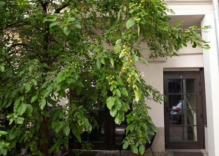 Bright I Etmonu St I Easy Check In I Cohost